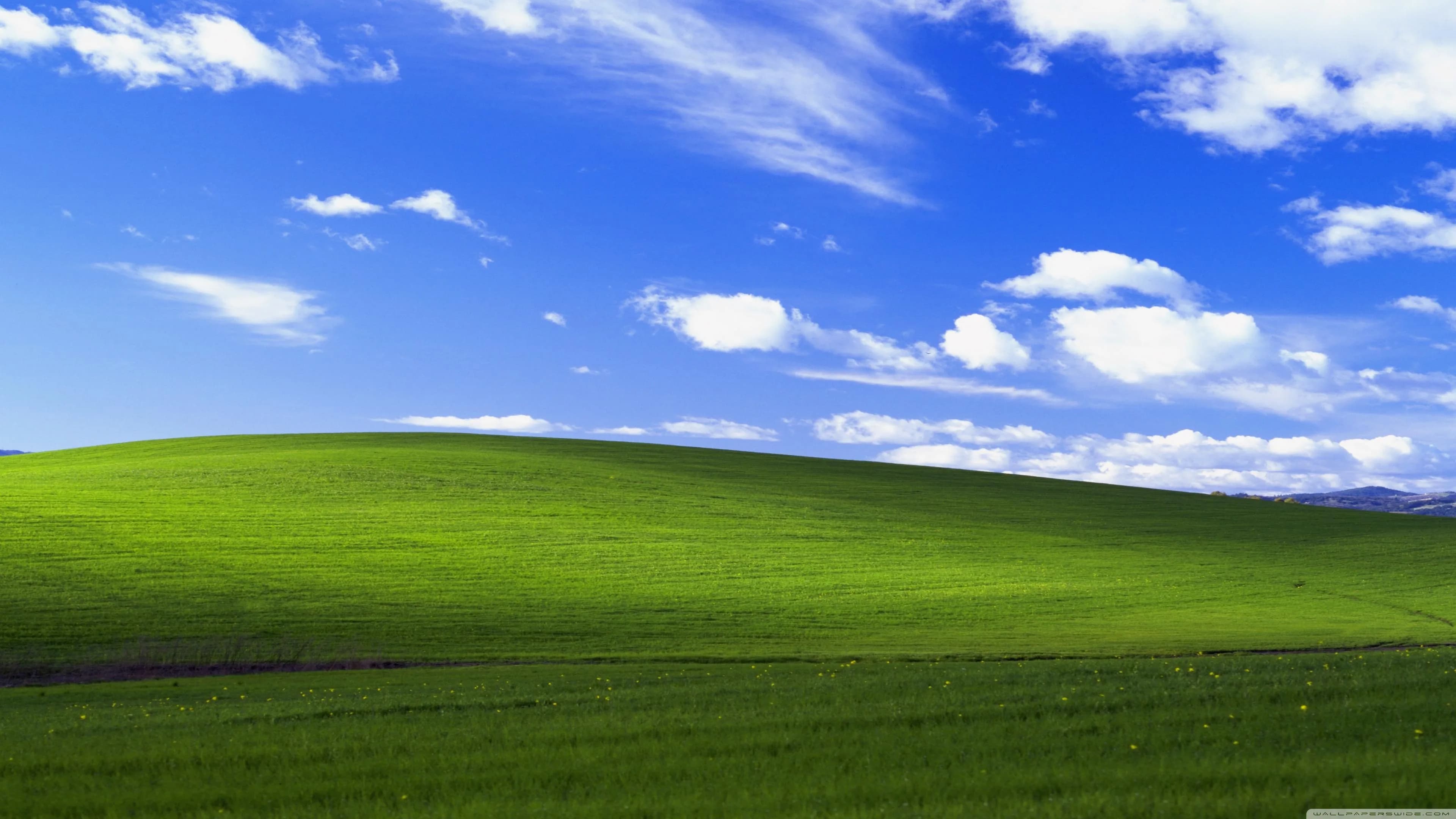 Windows XP Wallpaper